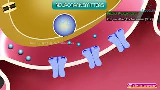 Neurotransmitters  CNS Physiology Animation 🧠 [upl. by Moguel959]