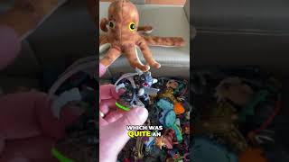 Epic Skylanders Haul 😍  Rare Finds Revealed 🎮 [upl. by Anirret976]