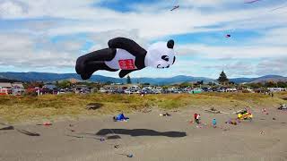 Otaki Kite Festival 2021 NZ [upl. by Immac]