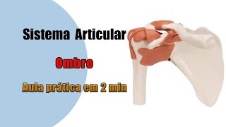 Articulação do ombro e seus Ligamentos  Anatomia Humana  Anatomia [upl. by Eraste]