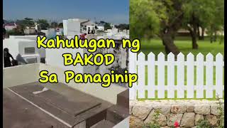 KAHULUGAN NG BAKOD SA PANAGINIP [upl. by Godderd]