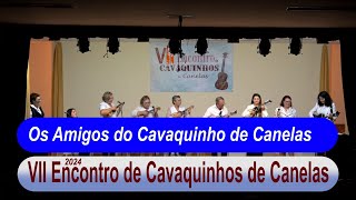 Os Amigos do Cavaquinho de Canelas [upl. by Anneirb]