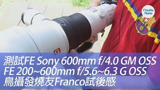 【試用評測】測試FE Sony 600mm f40 GM OSS及FE 200600mm f5663 G OSS 鳥攝發燒友Franco試後感 [upl. by Redle]