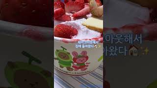 【설빙】딸기 신메뉴 먹었다🍓韓国ソルビン×ハーゲンダッツの新メニュー｜Blue House Vlog41shorts [upl. by Lemhar880]