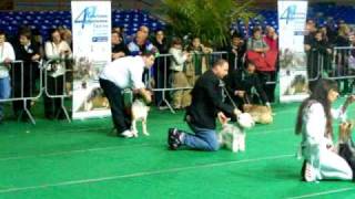 AMSTAFF EXPO [upl. by Mcneely]