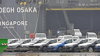 Import KFZ HOEGH OSAKA Emden RoRo carrier brings lots of cars S6TY IMO 9185463 [upl. by Nohtiek]