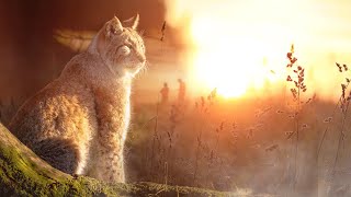 Le Parc rien quà vous  Matinales  une découverte unique du Parc Animalier des Grottes de Han ✨ [upl. by Jenna]