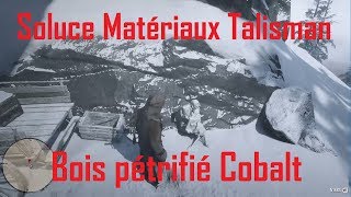 Red Dead Redemption 2  Soluce Bois pétrifié Cobalt [upl. by Christa]