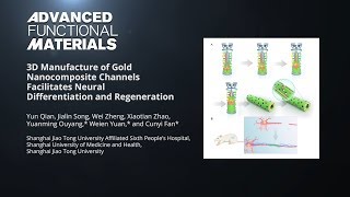 3D Manufacture of Gold Nanocomposite Channels Facilitates Neural Differentiation and Regeneration [upl. by Felder]