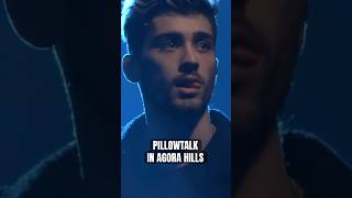 Zayn Doja Cat  PILLOWTALK IN AGORA HILLS mashup zayn dojacat [upl. by Aseen948]