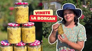 Vinete la borcan pentru iarnă – rețeta care iese 100 🍆  Anyta Cooking [upl. by Nohsed]