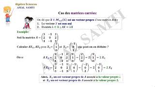 Réduction des endomorphismes partie N° 2 Les vecteurs propres [upl. by Nelaf]