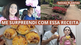 EM BUSCA DA GRAMA PARA O TERRENO NOVAS PLANTAS HAMBÚRGUER CASEIRO FÁCIL E MAIS [upl. by Accebar]