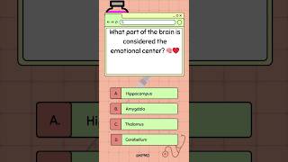 🧠❤️ Discover the Brains Emotional Center—Do You Know Where mededtrivia biologybrainteasers [upl. by Wagshul]