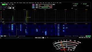 Hawaje WH7T na 15 metrach z dnia 05102024 [upl. by Eyks]