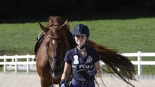 Reitanlage Sandberg  Pia Wilhelm  Equestrian Videographie [upl. by Brita]