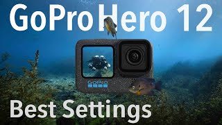 BEST SETTINGS for EPIC GOPRO HERO 12 underwater footage [upl. by Ibur]