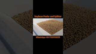 Soybean Peeling and Splitting Machine  Efficient Bean Processingbean beans soybean peeler [upl. by Aleetha209]