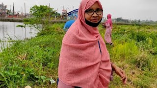 অনেকদিন পর শাক আনতে গেলাম।। Rupia Begum Blog [upl. by Surat]