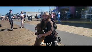 Greater Swiss Mountain Dog Training  Hazel  Temple City CA [upl. by Thorman]