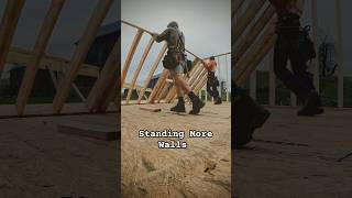 Framing and Standing Our Last Wall construction carpentry outdoors [upl. by Vas651]