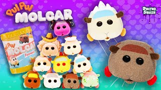 Pui Pui Molcar Mystery Capsules And Giant Squishy Plush [upl. by Rodolph]