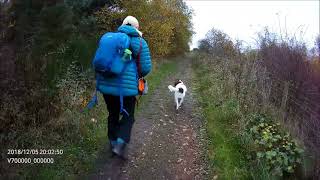 CAMERA TEST PHILIPS VIDEOTRACER  Spaniel in the woods Sherwood Forest Vicar Water walk 9th Nov 24 [upl. by Eberly]