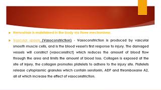 vascular system in hemostasis [upl. by Nimrak]