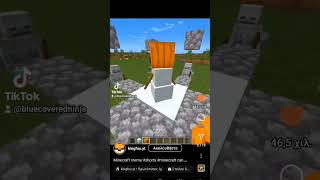 Minecraft rcism true or lie minecraft [upl. by Dorolice549]