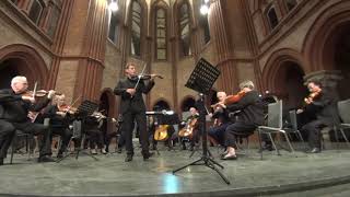 FA Hoffmeister Viola Concerto 3rd movement played on a mezzoforte cf viola [upl. by Alitta]