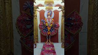 Jivu chhu rasila Tara darshan mulidham jayswaminarayan daily viralshorts [upl. by Mercie]