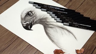 How to Draw an Eagle Head Step by Step  Pencil Drawing Tutorial [upl. by Chang]