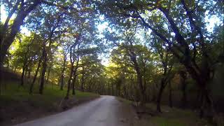 Montaggio video meno malincinico e più rocchettaro forse bosco autunnale FPV [upl. by Tuinenga]