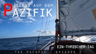 Alleine über den Pazifik segeln  ein typischer Tag auf See EP2 [upl. by Lodge377]