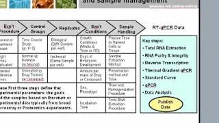 Application of MIQE Guidelines to qPCR [upl. by Sally]