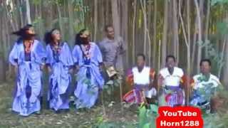 Ethiopian Traditional Music  ዋኘው አሸናፊ  እሪኩም [upl. by Solotsopa]