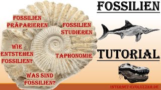 Fossilien Tutorial [upl. by Bast338]