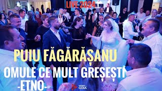 Puiu Fagarasanu🛑Omule ce mult greșești💯Live 2024 [upl. by Myrta619]