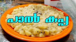 Paal Kappa Recipe Malayalam  പാൽ കപ്പ  paalkappa cooking [upl. by Rakso]