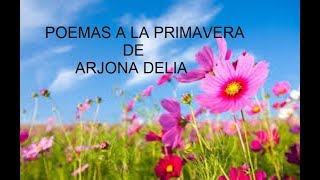 La Primavera Diomedes Diaz amp Juancho Rois En Parranda [upl. by Aleakam150]