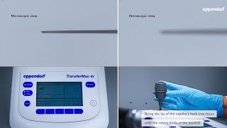 Micromanipulation Tips amp Tricks Optimize the Use of Your TransferMan® 4  InjectMan® 4 [upl. by Ydna]