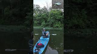 Smallmouth Bass on Crooked Creek  Kayak Fishing  Bonafide RVR 119  Nature [upl. by Rouvin305]