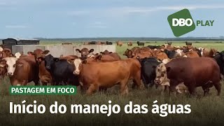 Como ajustar a taxa de lotação para garantir a qualidade do pasto no verão [upl. by Baniaz]