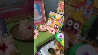 Ami আমি gostogopal trending joyradhe joyradhe religion joygopal joyradheradhe harekrishna [upl. by Cockburn]