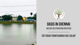 EFIs Oasis In Chennai  Pidari Ponniamman Pond [upl. by Lebaron449]