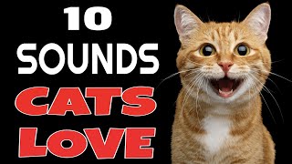 10 Sounds Cats Love To Hear The Most [upl. by Bass]