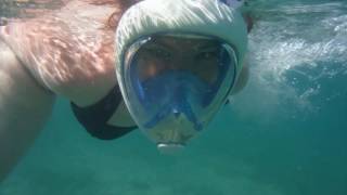 Tarifa Spain Snorkeling [upl. by Aspa192]