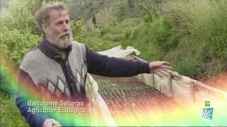 Campechanos  La ecología como un modo de vida y huertos mineros [upl. by Ahsuat]