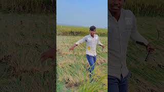 Aa  Roach Killa  Arif Lohar  Deep Jandu  New Song 2024  Jazba Entertainment [upl. by Noinatrad]