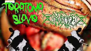 Teratoma slaveHicude Blastoma split♫⃠ [upl. by Toinette]